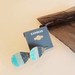EXPRESS - Brand new earrings